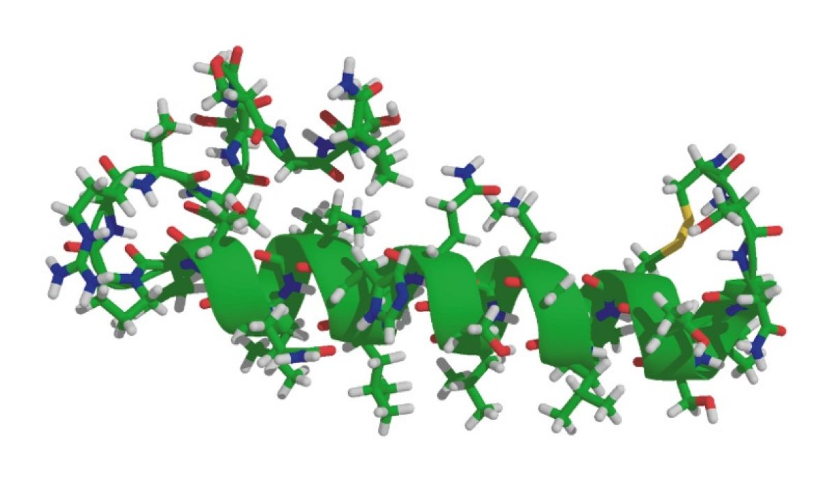 Peptide